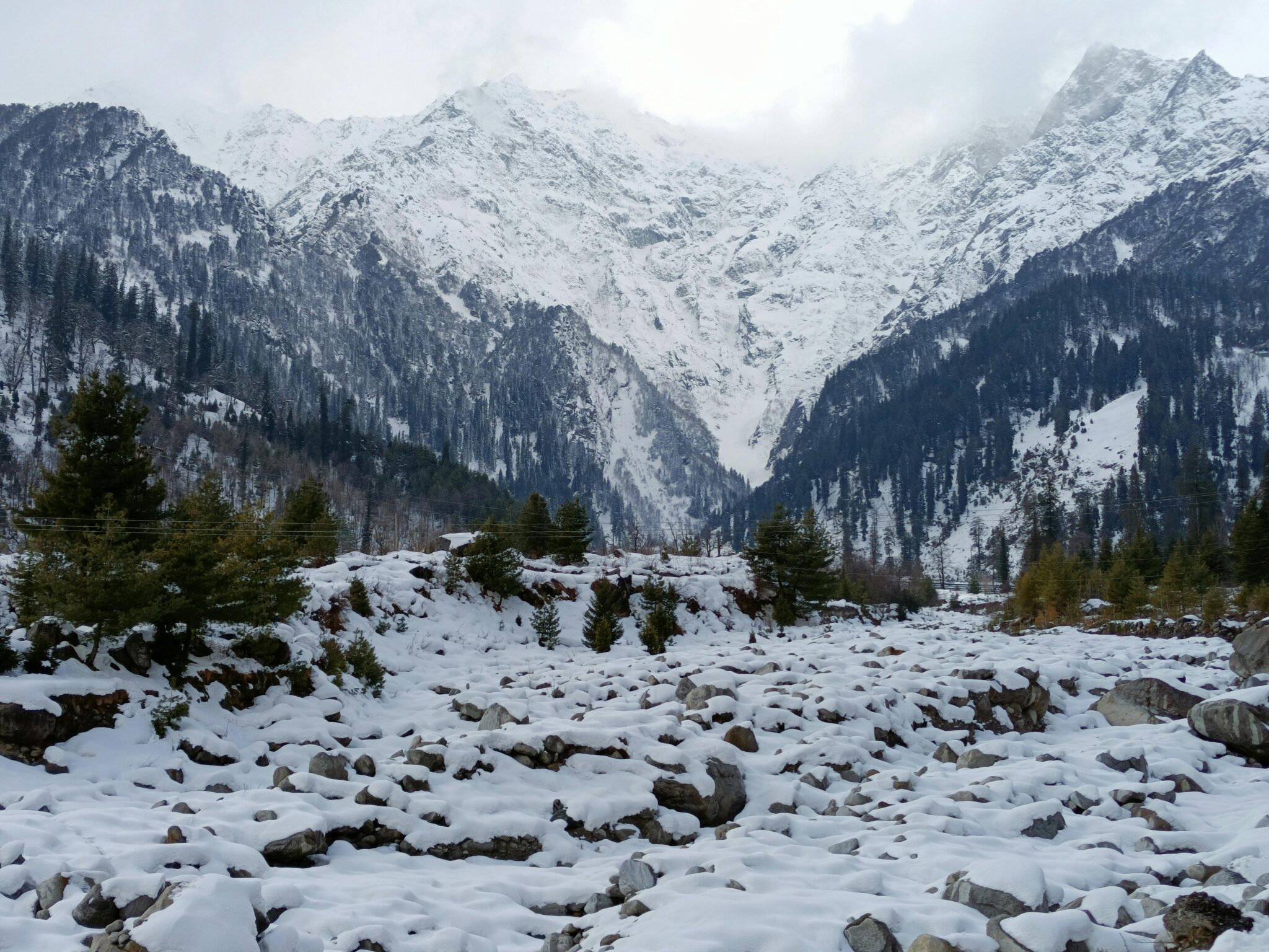 snow in manali